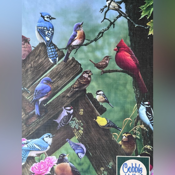 Cobble Hill 80086 Birds of The Forest Puzzles new in package unopened - Picture 3 of 9